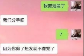 兴安盟遇到恶意拖欠？专业追讨公司帮您解决烦恼